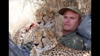 Big Cat Diary Song  David Poore [upl. by Asher]