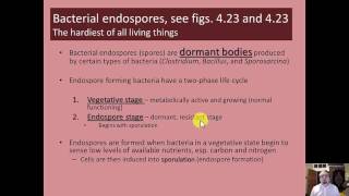 Microbiology  Prokaryotes  Chapter 4  Part 22 [upl. by Conlon545]