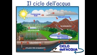 Lacqua e il ciclo dellacqua [upl. by Eedia]