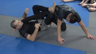 Linking attacks from Single leg X guard Lachlan Giles [upl. by Vins]