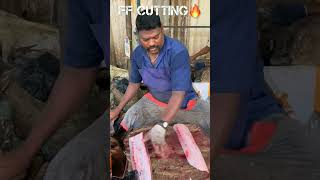 Seer fish cuttingfishcuttingskill greenfish youtubeshorts greenscreen [upl. by Damali435]