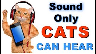 Sound Cats Can Only Hear  HQ [upl. by Leund681]