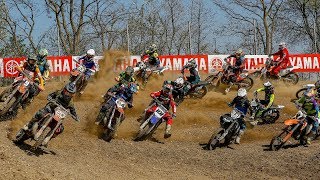 Motocross Auner MX2  Großhöflein 2019 [upl. by Aerdnak]