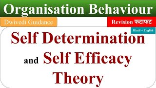 Self Efficacy Theory of motivation in hindi self determination theory of motivation OB revision [upl. by Kessia]