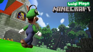 Luigi playsMinecraft  Weegeepie 1M Special [upl. by Ahsinev]