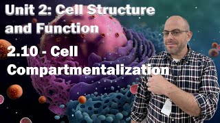 AP Bio Unit 2  210  Cell Compartmentalization [upl. by Aicad880]