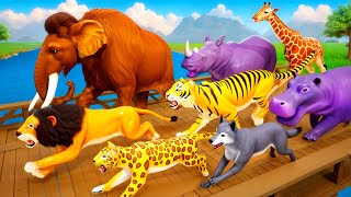 Ancient Animals vs Modern Animals Race Mammoth Smilodon Cheetah amp Tiger Face Off in Planet Zoo [upl. by Garett]