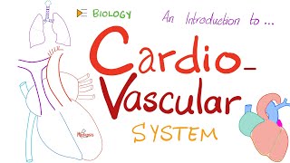 The Cardiovascular System CVS ❤️ 🩸  A Simple Introduction  Biology Anatomy Physiology [upl. by Auqinihs]