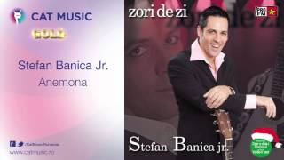 Stefan Banica Jr  Anemona [upl. by Radloff]