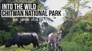 Unexpected Chitwan National Park Wildlife Safari  Indian in Nepal  Visit Nepal [upl. by Ronal]