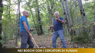 Nei boschi con i cercatori di funghi [upl. by Fante]