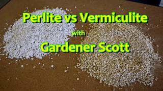 Perlite vs Vermiculite [upl. by Kynan838]