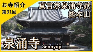 【お寺紹介31】泉涌寺・京都 －真言宗泉涌寺派 総本山－ 8分でお寺を案内します。 [upl. by Erdied]