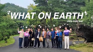 daily indo sub what on earth  seventeen in caratland 2021 skit [upl. by Steele662]