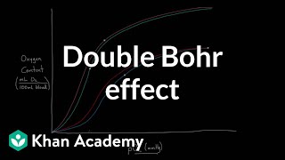 Double Bohr effect  Circulatory system physiology  NCLEXRN  Khan Academy [upl. by Aikit]