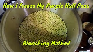 How To Freeze Fresh Peas  Blanching Method [upl. by Albers]