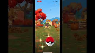 Halloween pumpkaboo field research caught pokemongo [upl. by Thacker257]