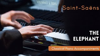 SaintSaëns The Elephant Piano accompaniment [upl. by Aihsela]