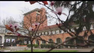 Visite du CAVILAM  Alliance française [upl. by Attikin]