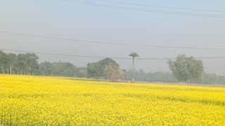 Village life in Jamalpur [upl. by Yngad293]