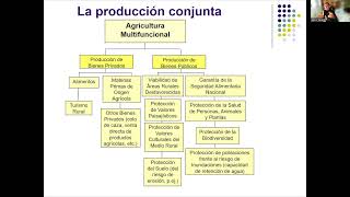 4 SAMIR SAYADI Valoración de las externalidades ambientales en agricultura [upl. by Ginnifer]