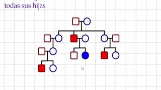 Análisis de Pedigrì herencias ligadas al sexo resumen [upl. by Lila]