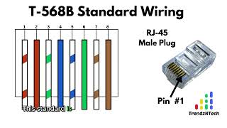 Bike Cable End Crimping  Tech Tuesday 231 [upl. by Josh]