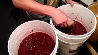 How to Start a Wine Fermentation and Balance Your Must  Home Winemaking [upl. by Ahsaeym]