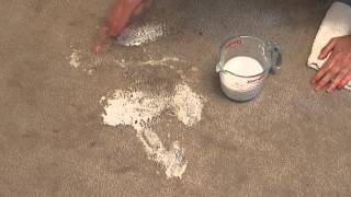 How to Get Red Wine Out of Your Carpet [upl. by Desai]