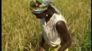 Le plus grand film africain Yélé lorpheline 02 en Malinké [upl. by Ora]