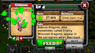 How to Breed Sakura Dragon DragonvaleEVOLUTIONS [upl. by Asaret]