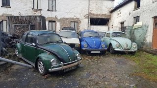 Abandoned Car graveyard Biofuel Farm [upl. by Llewoh]