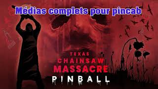 Medias complets Pinball M Teaxs chainsaw massacre [upl. by Keeler]