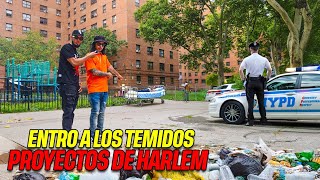 Entro A TEMIDO Barrio De HARLEM New YorkquotLos FAMOSO Proyectosquot [upl. by Alik]