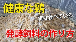 健康な鶏は皆食べている！養鶏家が伝える体喜ぶ発酵飼料の作り方【自然卵養鶏法】 [upl. by Cir]