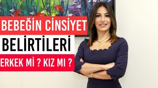 Bebeğin Cinsiyet Belirtilerinde Anne Baba Faktörü [upl. by Nostets]