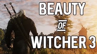 The Witcher 3  Music amp Ambience  Walking through beautiful island of Skellige [upl. by Nnahtur374]