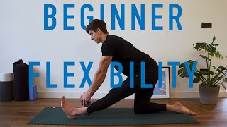 20 Minute Beginner Flexibility Routine V2 FOLLOW ALONG [upl. by Papotto450]