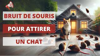 Bruit de souris pour attirer un chat 🐈 1 heure 🔊 Bruit de souris 🐁 Mouse Sound [upl. by Tnahsin19]