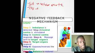 Grade 12 Endocrine system and homeostasis [upl. by Thisbee]