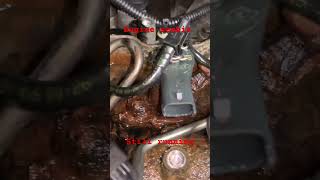 Diesel Injector Remove EasyCRDI Injector Open Skoda RapidVW VentoTDI Engine [upl. by Assiled143]