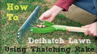 How to Dethatch Lawn Using a Thatching Rake [upl. by Litt]