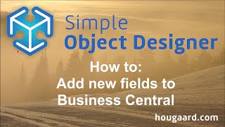 How to add new fields to Business Central [upl. by Macdonell785]