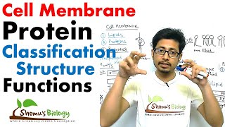 Plasma membrane proteins structure and function [upl. by Nagrom]