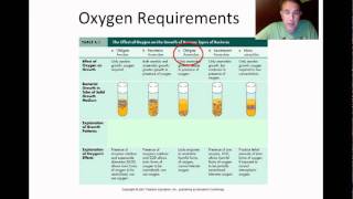 Microbial Growth Part 1 [upl. by Marr]