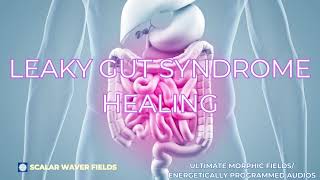 Leaky Gut Syndrome Healing PREMIUM SUPERCHARGED ULTRA POWERFULEnergetically Programmed [upl. by Hcab]