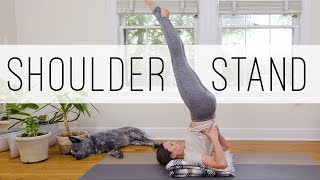 Foundations Of Shoulder Stand  Candle Pose [upl. by Lerrud663]