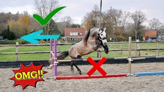 FREE JUMPING MY DRESSAGE STALLIONdisaster [upl. by Sturrock]