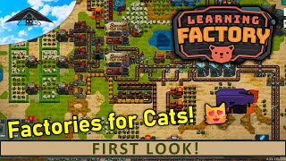 Factories for Cats 😻  Learning Factory  First Look [upl. by Dagney]