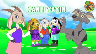 Türkçe  Çizgi Film amp Çocuk Masalları  CANLI YAYIN  KONDOSAN [upl. by Ayita]